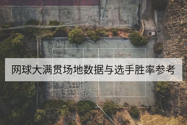 网球大满贯场地数据与选手胜率参考