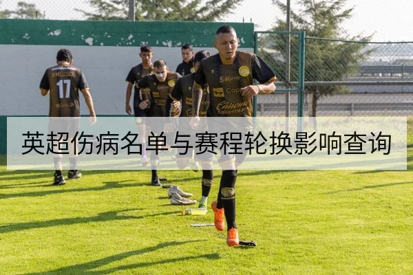 英超伤病名单与赛程轮换影响查询